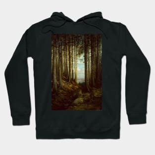 Alpine Scene by Gustave Dore Hoodie